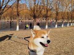 -东坝千亩湖公园