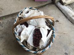 -马陆小张葡萄园农家乐