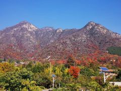-北京上方山国家森林公园