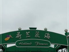 -荷兰花海