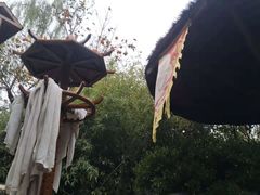 -徂徕山森林康养度假谷温泉