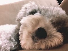 -上康中医脊椎理疗馆