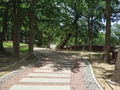 -阳台山自然风景区