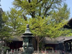 -红螺寺