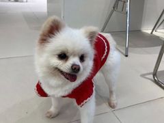 -怪兽屋·羊驼·猫咖·狗咖(俊华广场店)