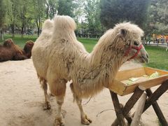 -北京野生动物园