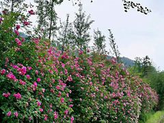 -太阳湾风景区