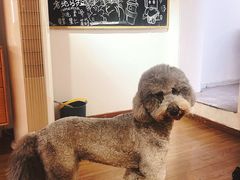 -沏点Trattoria意大利餐厅(新街口店)