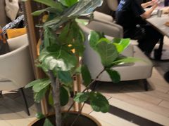-必胜客餐厅(昆百大泰业城店)
