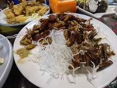 -小仙居·农家宴烤羊· 农庄