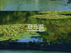 -洛阳白云山景区