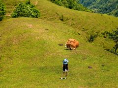 -天龙顶山地公园