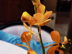 -杭州西湖柳莺里酒店·闻莺厅