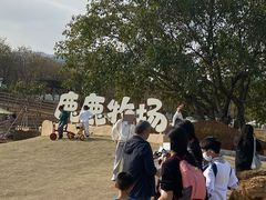 -盈香心动乐园