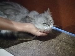 -万小咖.猫咖(中山路天虹店)