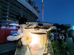 -海心沙亚运公园