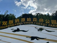 -西双版纳原始森林公园