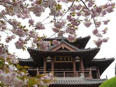 -西安青龙寺遗址景区