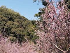 -广州市白云山风景名胜区