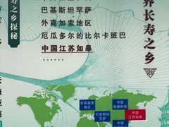 -水绘园