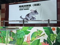 -上海大自然野生昆虫馆(东方明珠·爬宠昆虫探索中心)