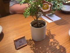 -CURRY YA 熟成咖哩專門店(深圳湾万象城店)