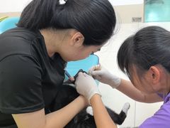 -北京观赏动物医院·24小时大型综合·猫专科·异宠专科