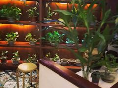 -麻省理功-深海烤鱼(昆城广场店)