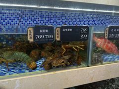 -欧记·龙城港(欣都店)