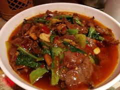 -田园印象·成都土菜院子(华阳店)