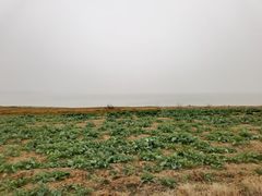 -嬉子湖生态旅游区