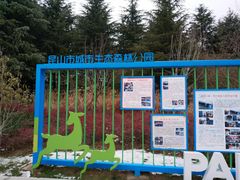 -昆山城市生态森林公园