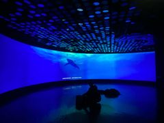 -同济大学四平路校区深海探索馆