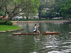 -晓港公园