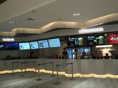 -红星电影世界上海张江绿地店