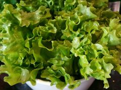 -蜀香居鲜毛肚火锅