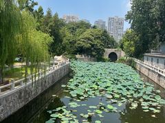-水绘园