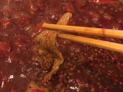 -大龙火锅(老店)