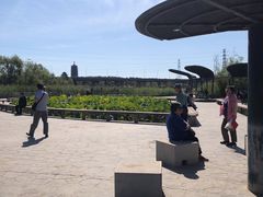 -永定河休闲森林公园