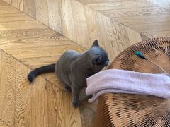 -Me Coffee下午茶艺术空间