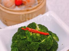 白灼西兰花-老广新意(奥园店)