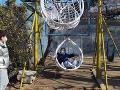 -南山特攻真人CS户外露营轰趴拓展基地