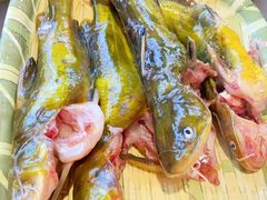 -铭记蛙小仙·活蛙畅享(CBD万达广场店)