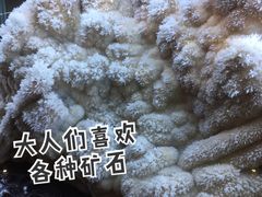 -湖南省地质博物馆