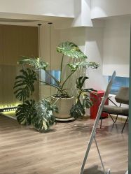 -海菲秀黑钻·SELF SKIN悦己·Tech SPA