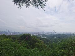 -广州市白云山风景名胜区