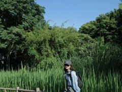 -成都市活水公园