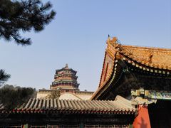 -颐和园