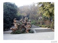 -伯先公园