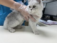 -宠颐生中康贝怡动物医院